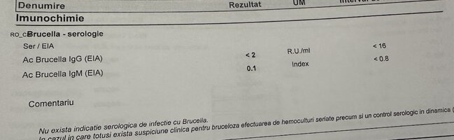 IMG_7298.jpeg